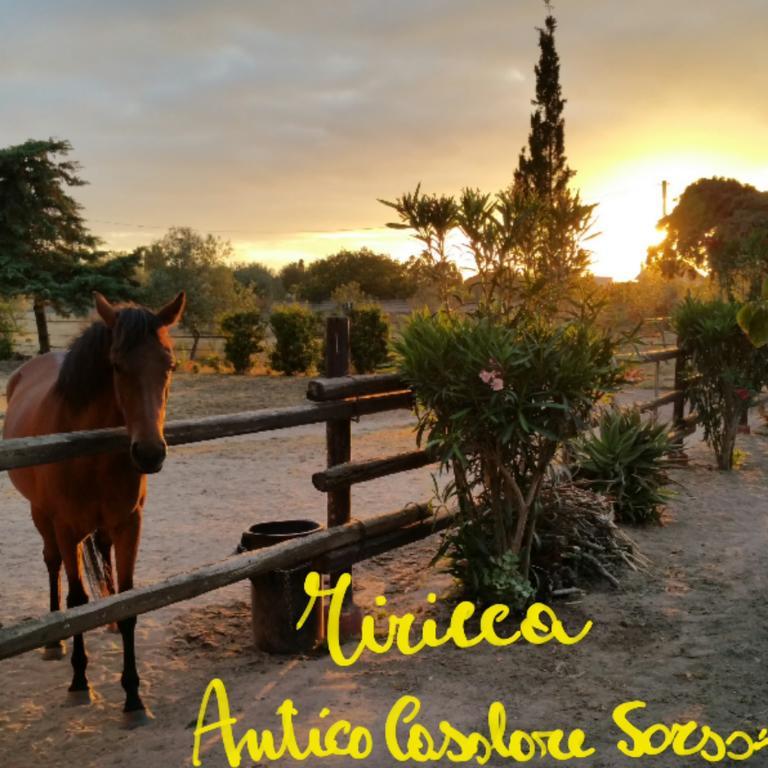Antico Casolare Sorso-Tourist Rental Extérieur photo